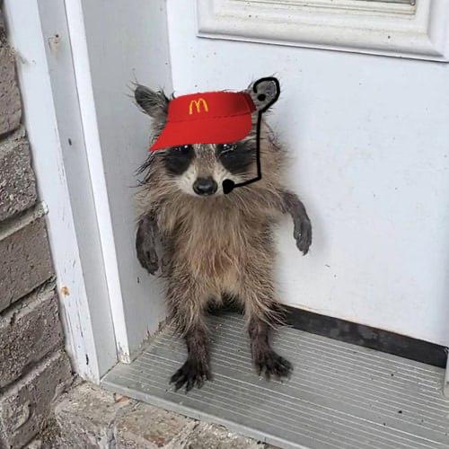 Bub with McDonald's visor